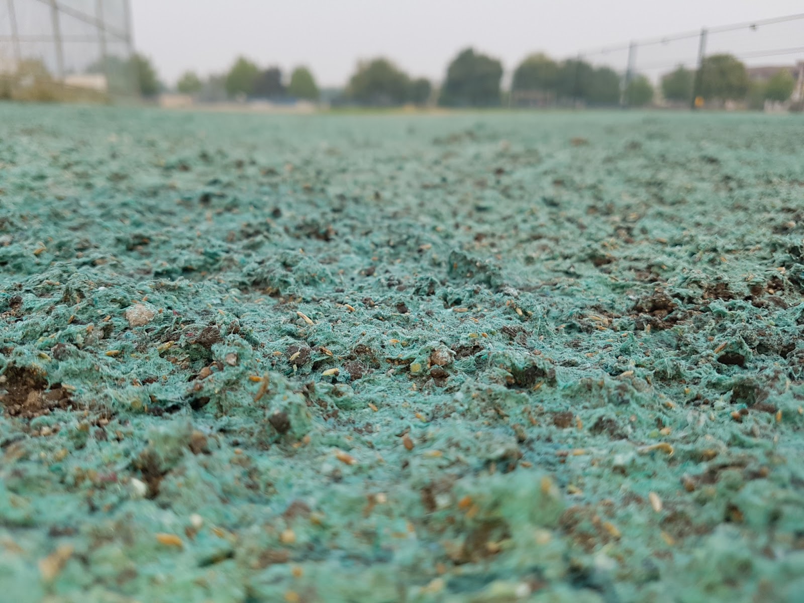Hydroseeding – What's up with the Weird Green Stuff?